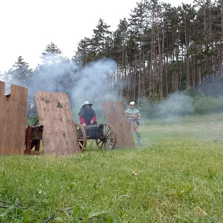 Penzion Litohlavy 17 - Na Samote U Lesa Králŭv Dvŭr Bagian luar foto