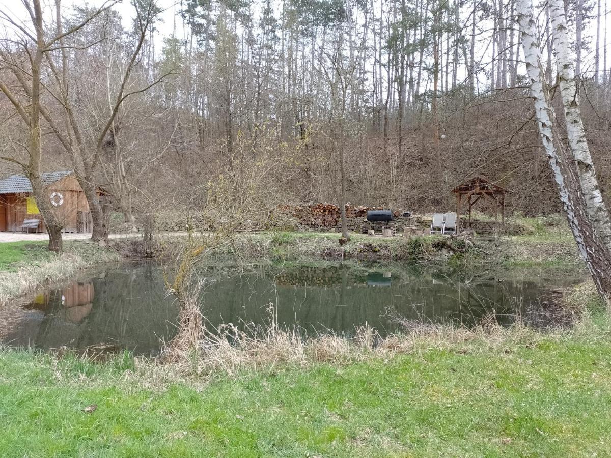 Penzion Litohlavy 17 - Na Samote U Lesa Králŭv Dvŭr Bagian luar foto