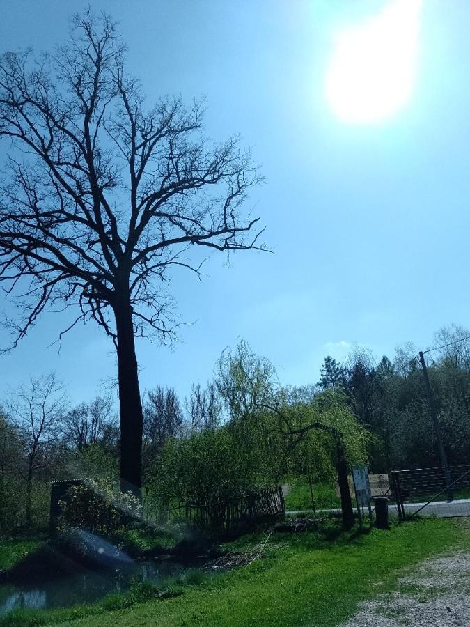 Penzion Litohlavy 17 - Na Samote U Lesa Králŭv Dvŭr Bagian luar foto
